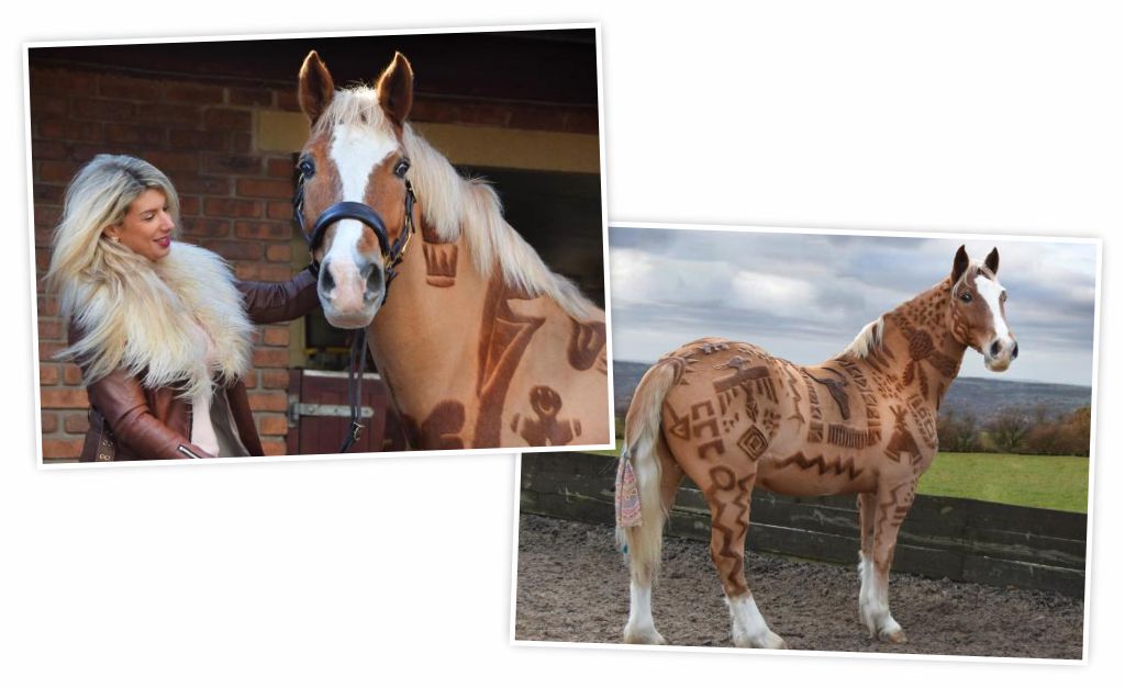 Apelidada de “Barbeira de Cavalos”, britânica faz sucesso com designs inusitados na pelagem dos equinos. Oi?