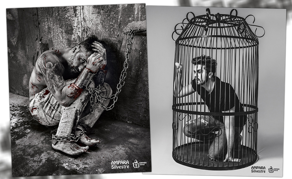 Bruno Gagliasso aparece acorrentado e Luan Santana engaiolado em campanha em prol dos animais