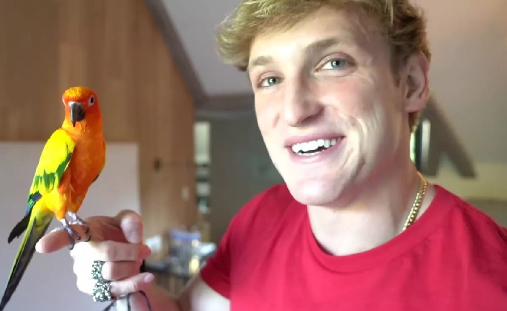 Um dos youtubers mais famosos (e polêmicos) do mundo, Logan Paul quer usar sua fama para salvar a Amazônia