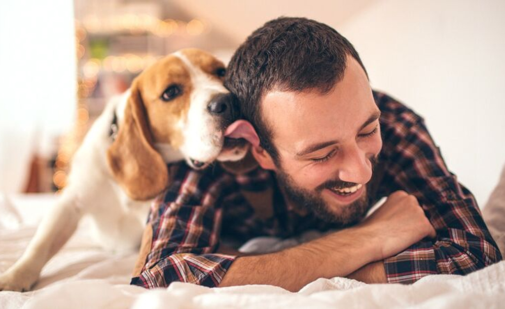 Como nossos cães se sentem com a mudança da rotina da casa imposta pela quarentena? Especialista de Yale explica