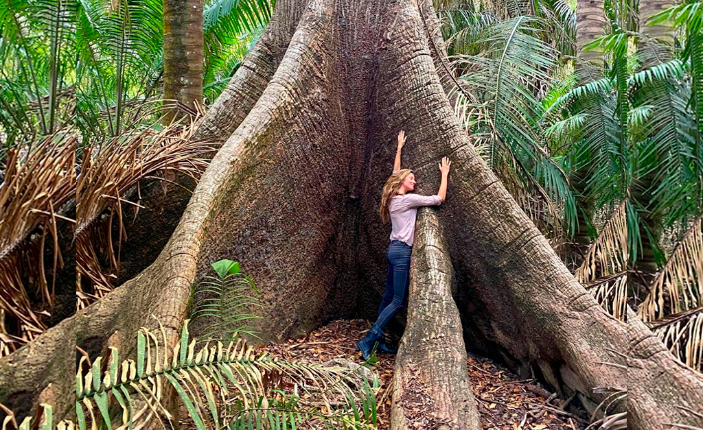 Gisele Bündchen, ativista há anos, manda seu recado no Dia Mundial do Meio Ambiente: ‘A natureza não julga ou divide’