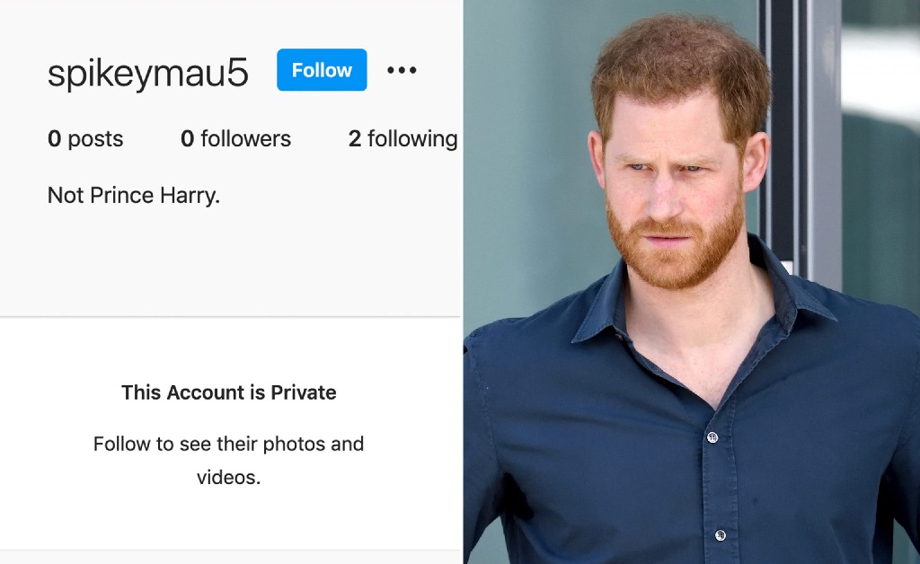 Príncipe Harry usava contas fakes no Instagram e Facebook para se comunicar com Meghan Markle, revela livro