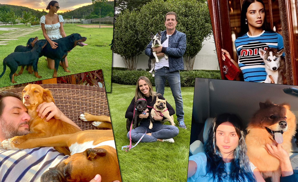 Celebs se unem à campanha que pede prisão para quem comete maus-tratos contra animais