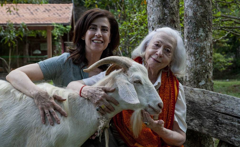 “Gilda, Lúcia e o Bode” promete humor e drama nesse Natal: “Muitas famílias racharam nesses anos de polarização”, diz Fernanda Torres