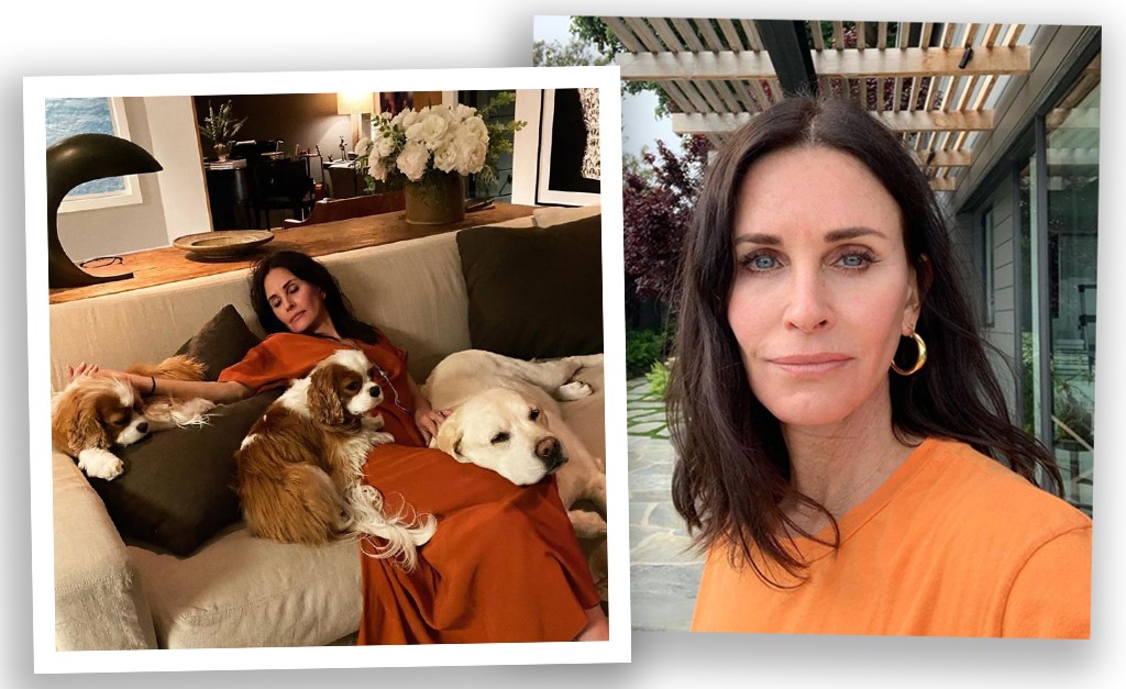Courteney Cox, a Monica de ‘Friends’, faz declaração de amor a seu château em Malibu: ‘Encontrei o lar perfeito’. Vem ver!