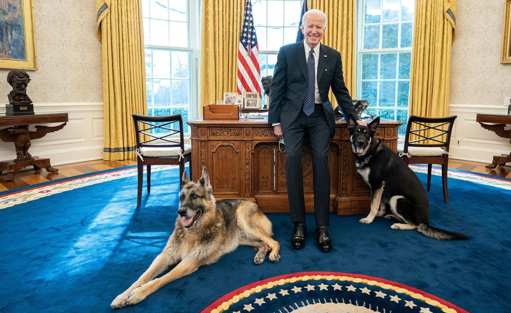 Mascotes de Joe Biden são afastados da Casa Branca por mau comportamento. E o presidente falou sobre o assunto!