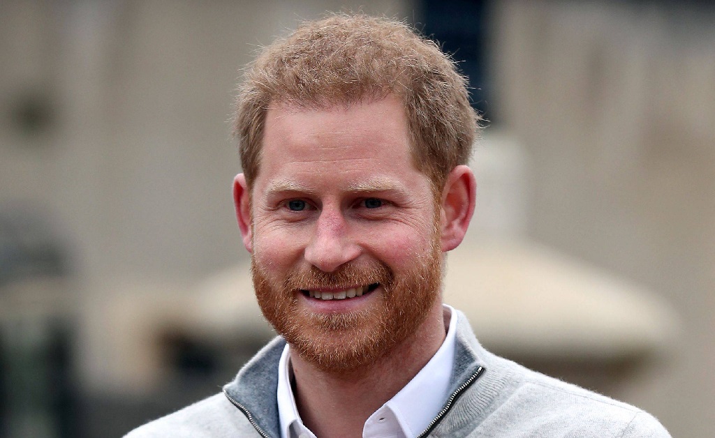 Trabalhadores reais: além de Harry, veja outros 5 membros da família real britânica que pegam no batente