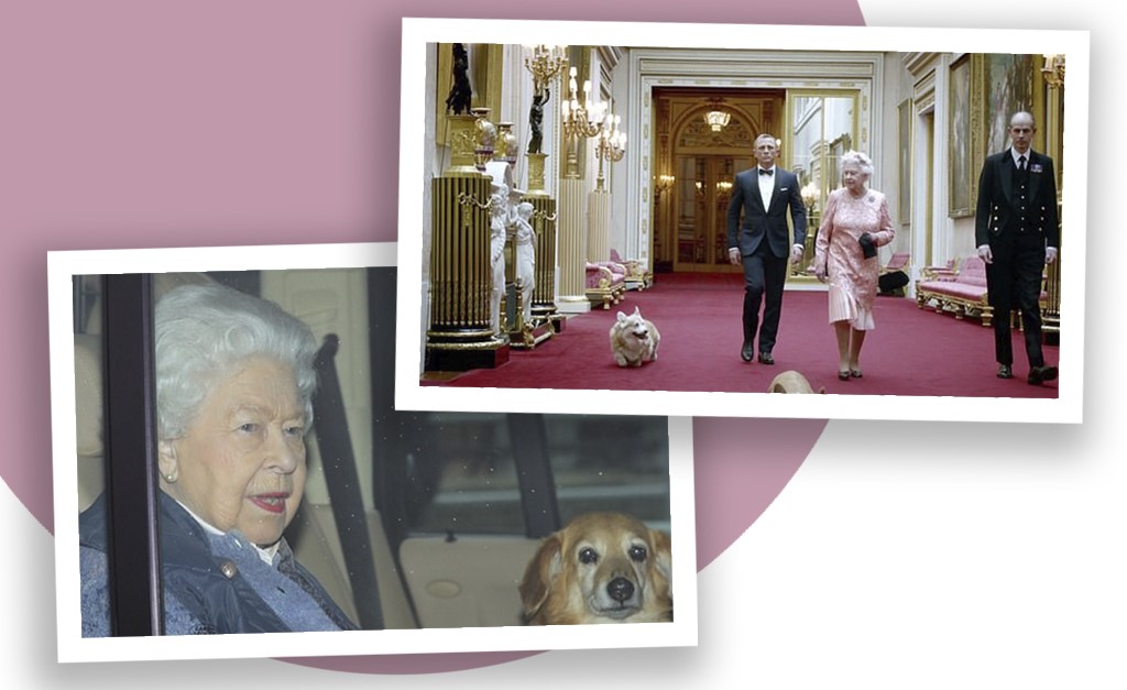 Novos cãezinhos da Rainha Elizabeth podem ajudar a monarca após a morte de Príncipe Philip. Saiba mais!