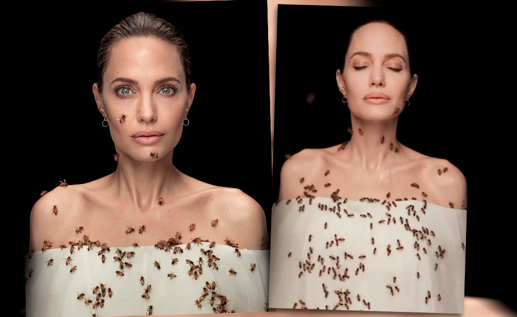 No Dia Mundial das Abelhas, Angelina Jolie é clicada coberta pelos insetos para promover programa de preservação da espécie