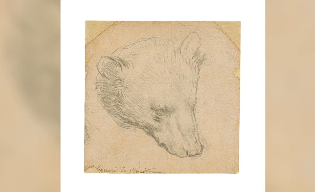 Esboço de urso de apenas 20 centímetros assinado por Da Vinci vai a leilão e deve ser arrematado por mais de R$ 65 milhões