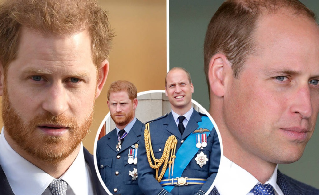 Pesquisa indica que ‘batalha dos irmãos’ entre Harry e William está sendo vencida pelo futuro rei
