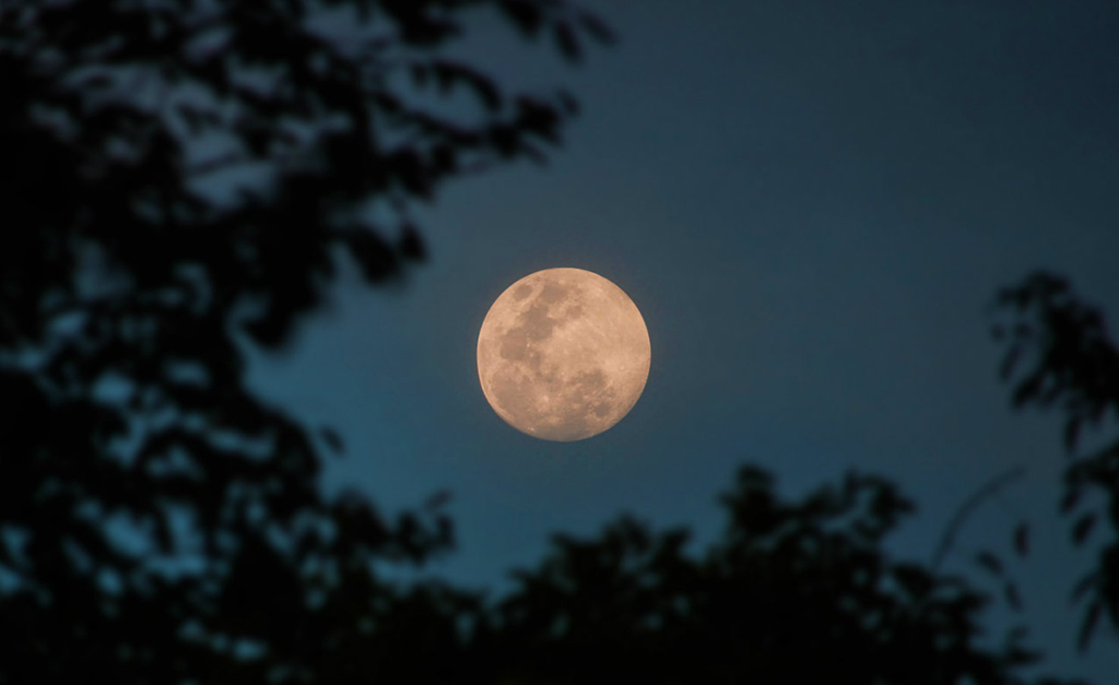 Água da lua: tudo o que você precisa saber sobre o ritual de bem-estar queridinho do momento. Aproveite a lua cheia!