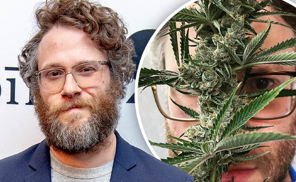 Astro de “Superbad”, Seth Rogen fala sobre investimento na indústria legal de cannabis e afirma: “Pra mim é algo fundamental”