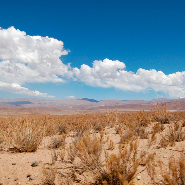 Deserto do Atacama vira lixão com 59 mil toneladas de roupas descartadas, com etiqueta e sem destino