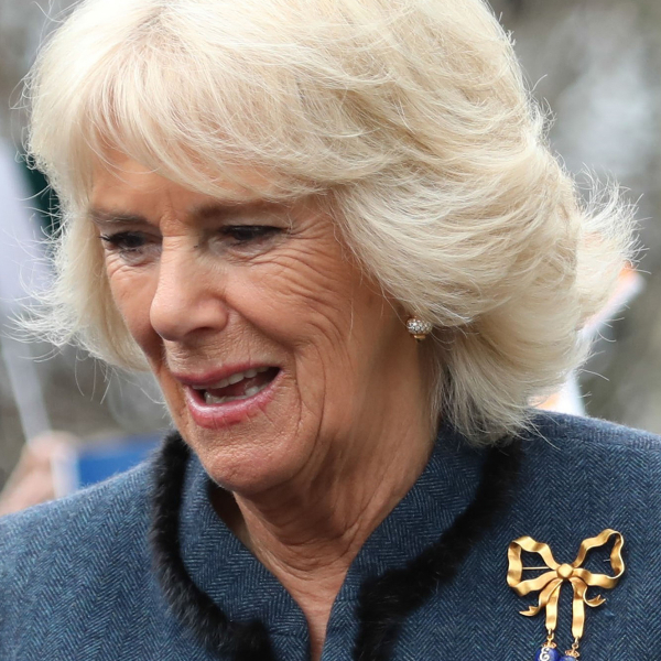 Em seu Jubileu de Platina, Elizabeth II deixa claro que Camilla deve ser Rainha Consorte