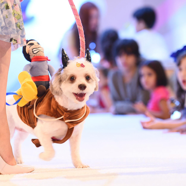 Pet Day está de volta com desfile de fantasias de cães, feira de adoção e mais no Shopping Pátio Higienópolis