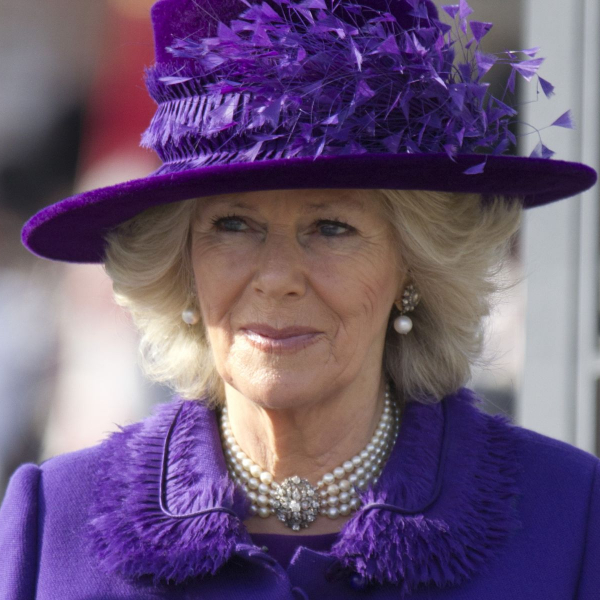 Camilla Parker Bowles não fez comentários racistas sobre filhos de príncipe Harry e Meghan Markle, diz site