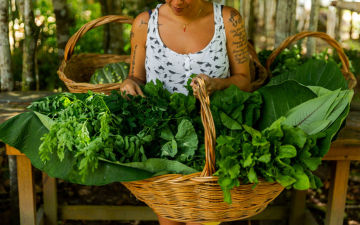 Trancoso recebe terceira edição do Organic Festival