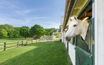 Gisele e o boom das propriedades equestres de luxo