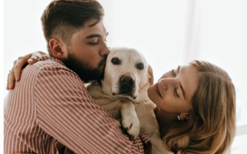 Linha de mordedores naturais canaliza energia e trabalha o instinto dos pets