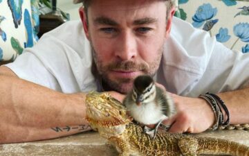 Chris Hemsworth desafia o medo em vídeo com aranha