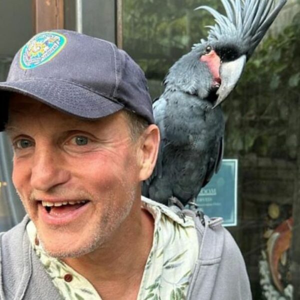 Ator Woody Harrelson revela motivo de ter abandonado o celular