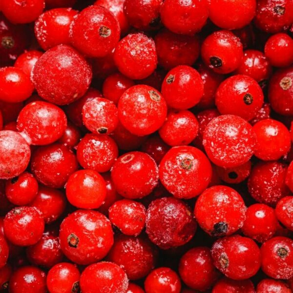 Groselha: descubra os benefícios da fruta para a saúde