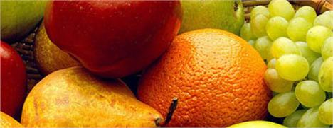 Um estudo britânico descobriu um jeitinho de os bebês se familiarizarem com frutas, legumes e verduras, antes mesmo de prová-los