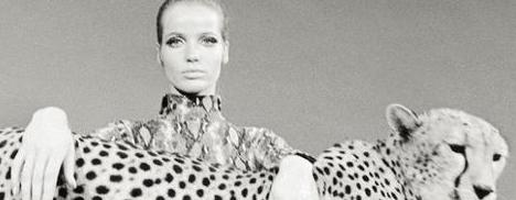 A blogueira Simone Monte faz um apanhado com os melhores trabalhos da modelo Veruschka von Lehndorff.